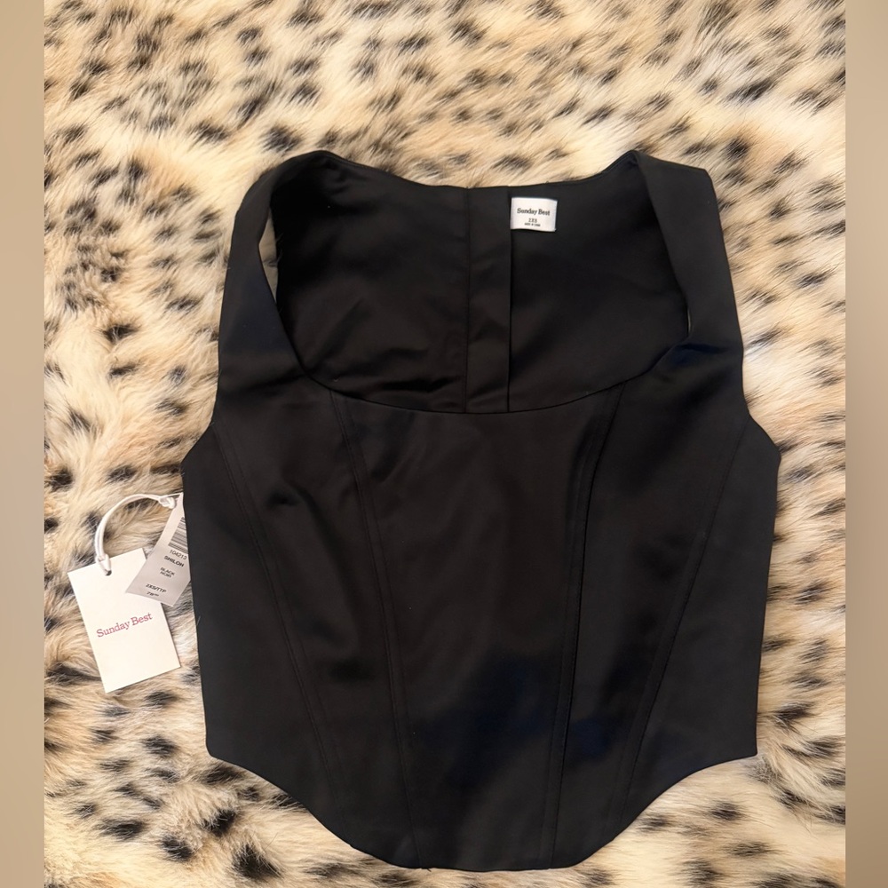 Aritzia satin bustier corset top